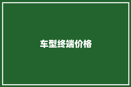车型终端价格