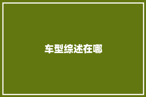 车型综述在哪