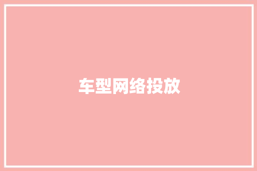 车型网络投放