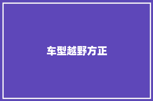 车型越野方正