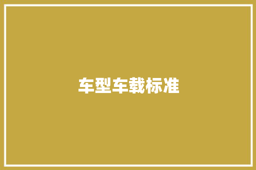 车型车载标准