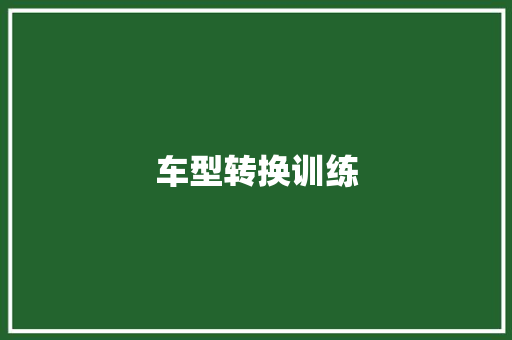 车型转换训练