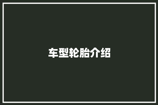 车型轮胎介绍