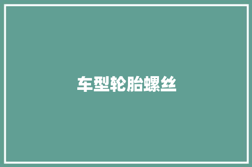 车型轮胎螺丝