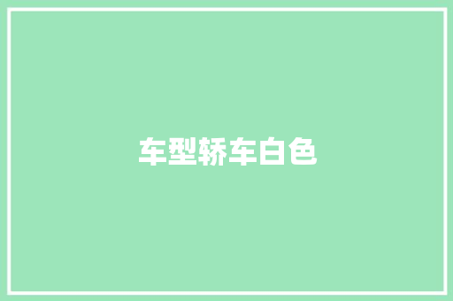 车型轿车白色