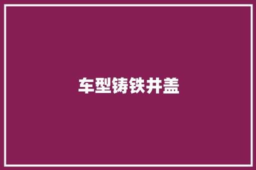 车型铸铁井盖