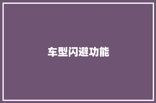 车型闪避功能