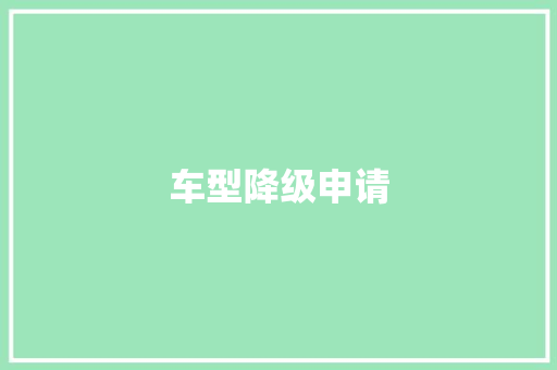 车型降级申请