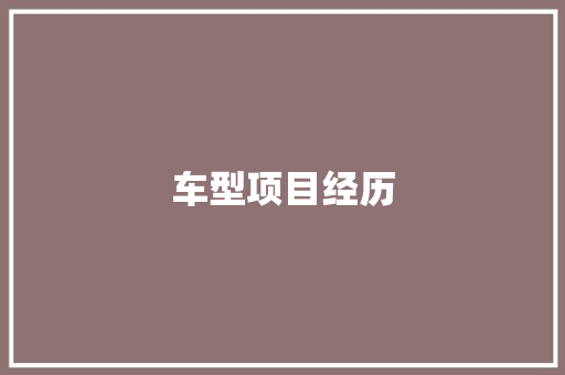 车型项目经历