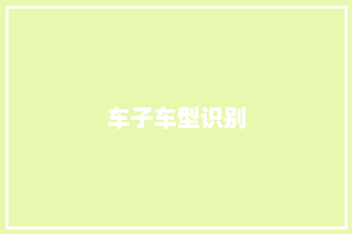 车子车型识别