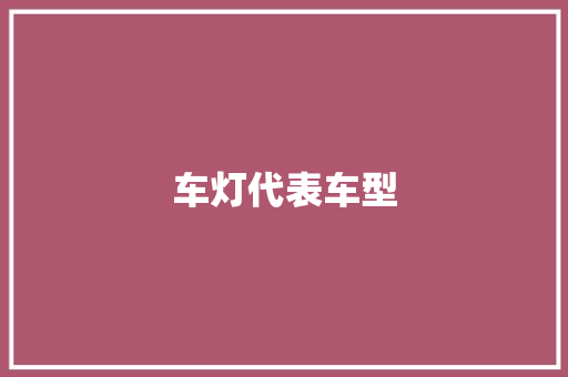 车灯代表车型