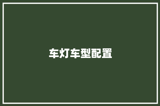车灯车型配置