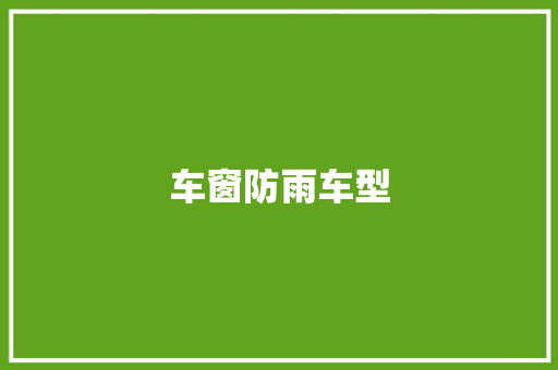 车窗防雨车型