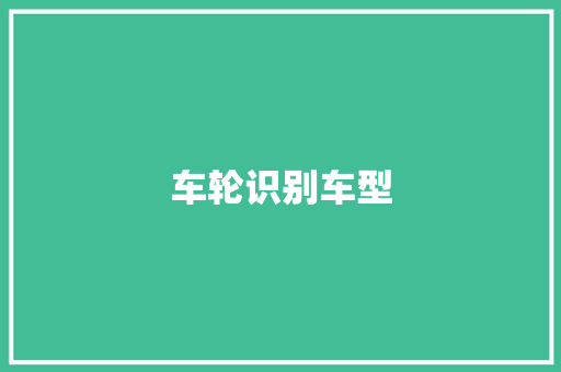 车轮识别车型