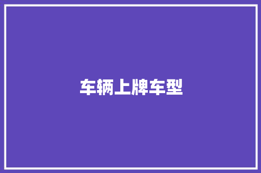 车辆上牌车型
