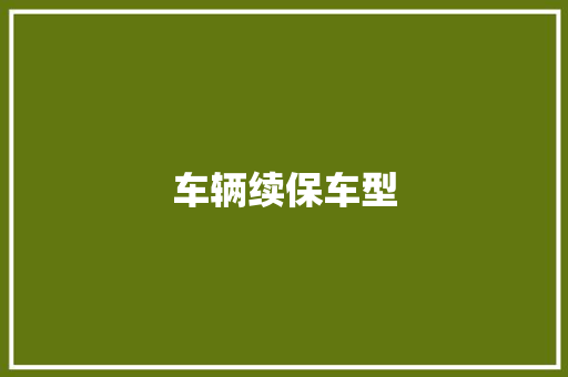 车辆续保车型