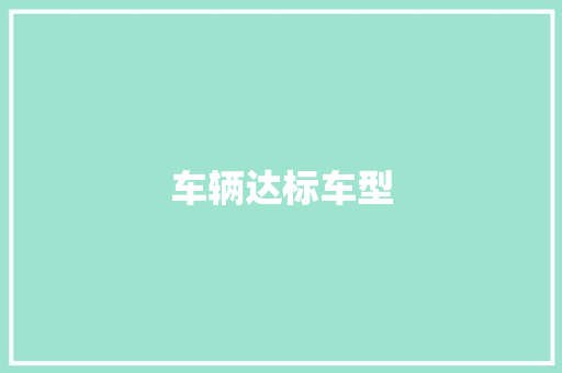 车辆达标车型