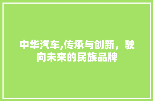 中华汽车,传承与创新，驶向未来的民族品牌