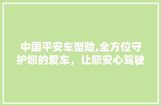 中国平安车型险,全方位守护您的爱车，让您安心驾驶