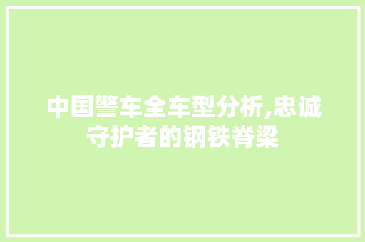 中国警车全车型分析,忠诚守护者的钢铁脊梁