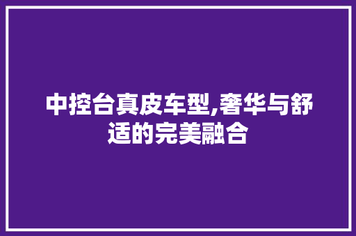 中控台真皮车型,奢华与舒适的完美融合