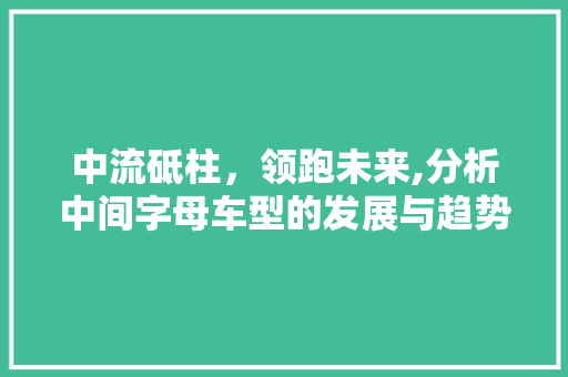 中流砥柱，领跑未来,分析中间字母车型的发展与趋势