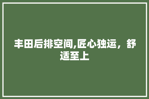 丰田后排空间,匠心独运，舒适至上