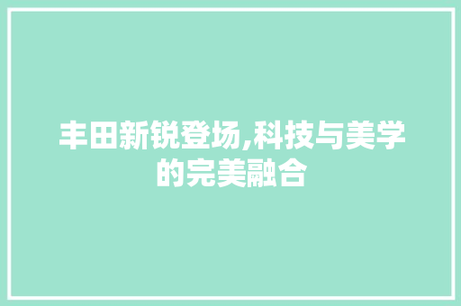 丰田新锐登场,科技与美学的完美融合