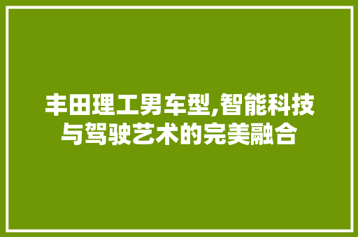 丰田理工男车型,智能科技与驾驶艺术的完美融合