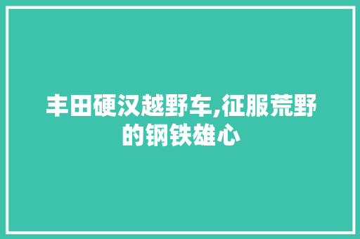 丰田硬汉越野车,征服荒野的钢铁雄心