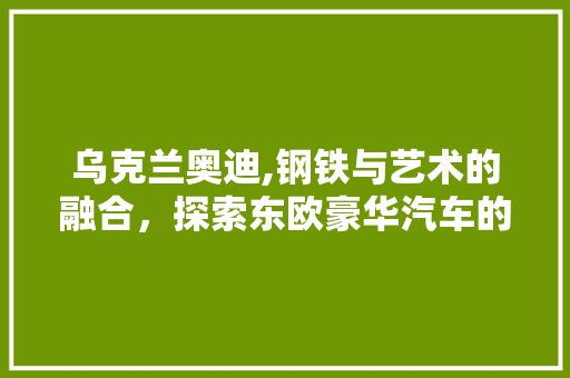 乌克兰奥迪,钢铁与艺术的融合，探索东欧豪华汽车的魅力