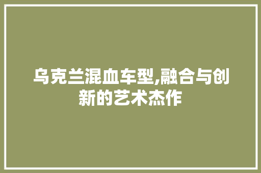 乌克兰混血车型,融合与创新的艺术杰作