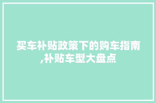 买车补贴政策下的购车指南,补贴车型大盘点 蓄电池配件
