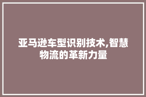 亚马逊车型识别技术,智慧物流的革新力量