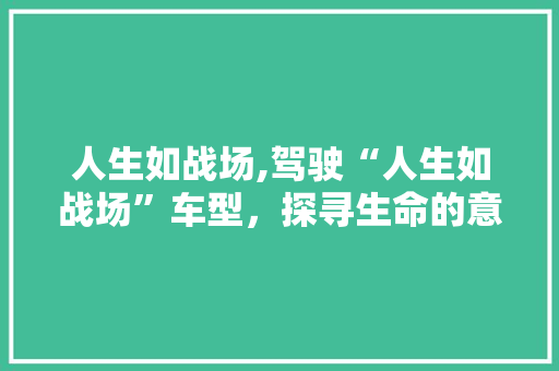 人生如战场,驾驶“人生如战场”车型，探寻生命的意义与价值