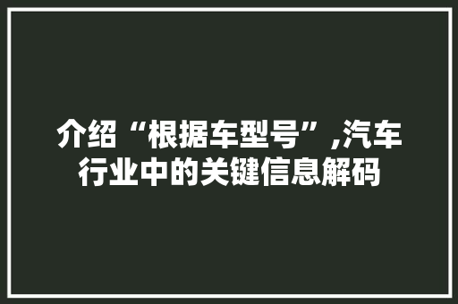 介绍“根据车型号”,汽车行业中的关键信息解码