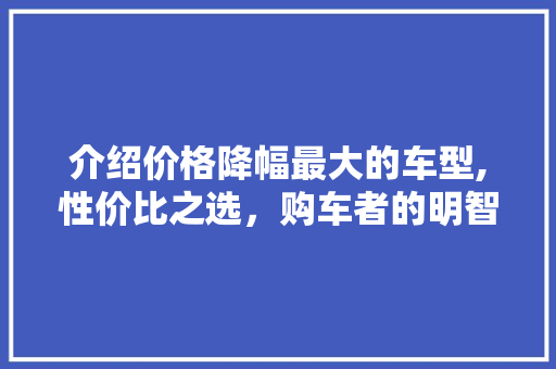 介绍价格降幅最大的车型,性价比之选，购车者的明智选择