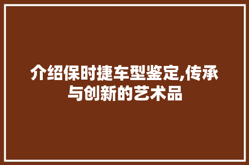 介绍保时捷车型鉴定,传承与创新的艺术品