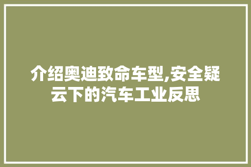 介绍奥迪致命车型,安全疑云下的汽车工业反思 蓄电池配件