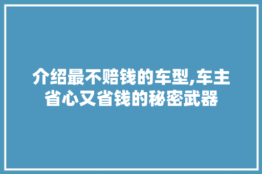 介绍最不赔钱的车型,车主省心又省钱的秘密武器