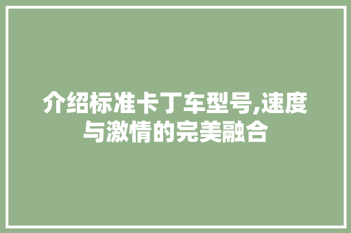 介绍标准卡丁车型号,速度与激情的完美融合
