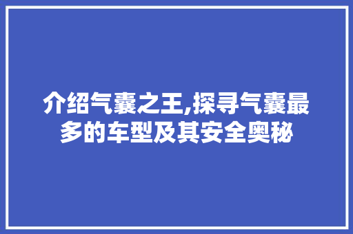 介绍气囊之王,探寻气囊最多的车型及其安全奥秘