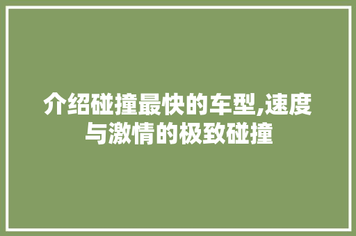 介绍碰撞最快的车型,速度与激情的极致碰撞