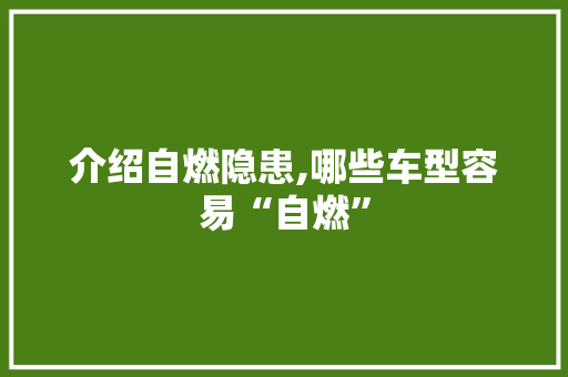 介绍自燃隐患,哪些车型容易“自燃”