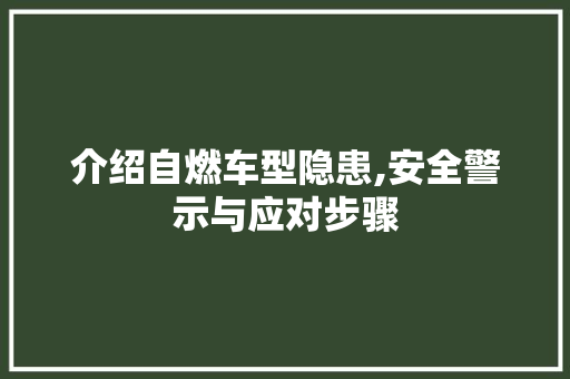 介绍自燃车型隐患,安全警示与应对步骤