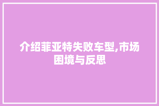 介绍菲亚特失败车型,市场困境与反思