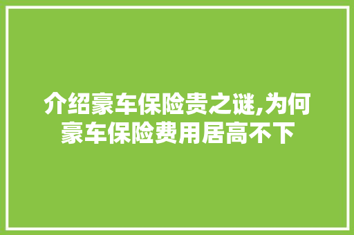 介绍豪车保险贵之谜,为何豪车保险费用居高不下