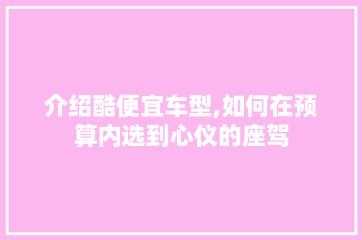 介绍酷便宜车型,如何在预算内选到心仪的座驾