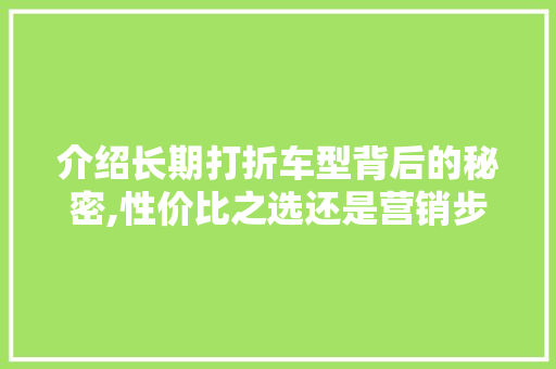 介绍长期打折车型背后的秘密,性价比之选还是营销步骤
