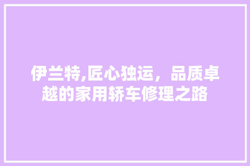 伊兰特,匠心独运，品质卓越的家用轿车修理之路